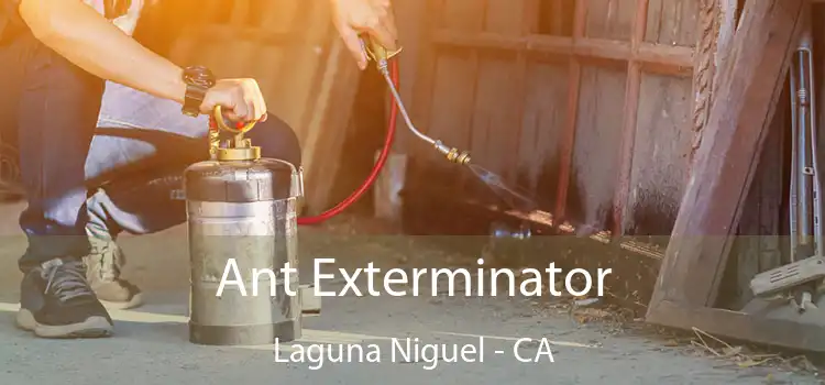  Ant Exterminator Laguna Niguel - CA