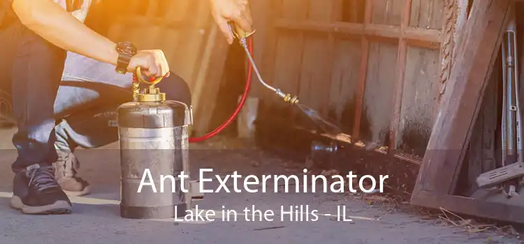 Ant Exterminator Lake in the Hills - IL