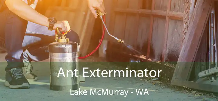  Ant Exterminator Lake McMurray - WA