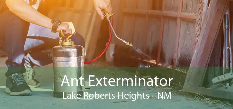 Ant Exterminator Lake Roberts Heights - NM