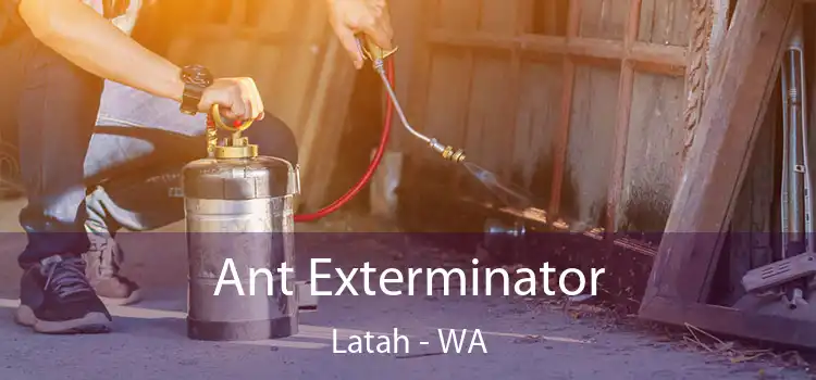 Ant Exterminator Latah - WA