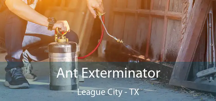  Ant Exterminator League City - TX