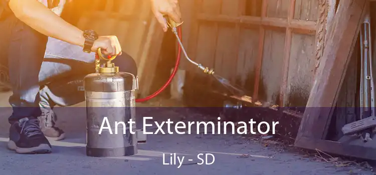  Ant Exterminator Lily - SD