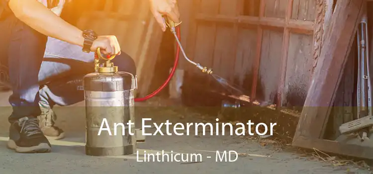  Ant Exterminator Linthicum - MD