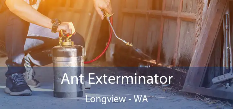 Ant Exterminator Longview - WA