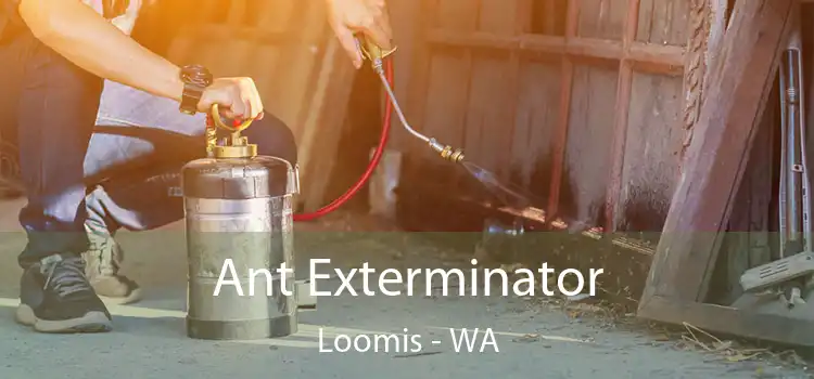  Ant Exterminator Loomis - WA