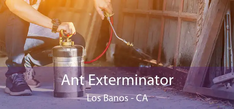  Ant Exterminator Los Banos - CA