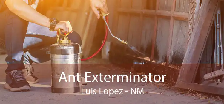 Ant Exterminator Luis Lopez - NM