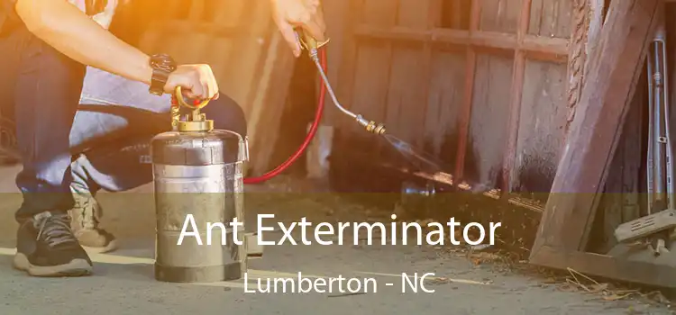  Ant Exterminator Lumberton - NC