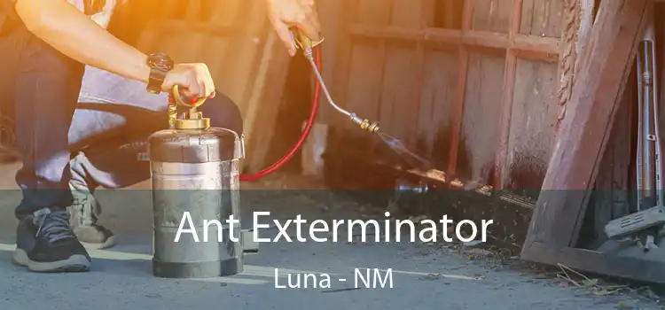  Ant Exterminator Luna - NM