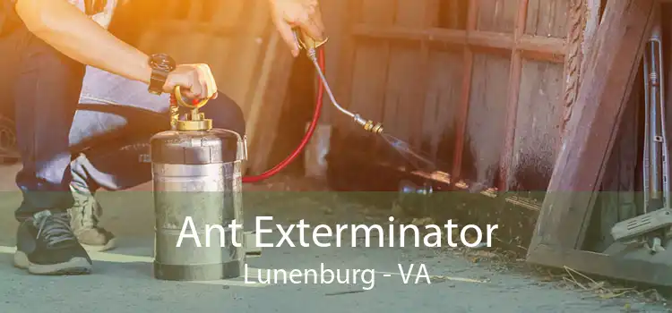 Ant Exterminator Lunenburg - VA