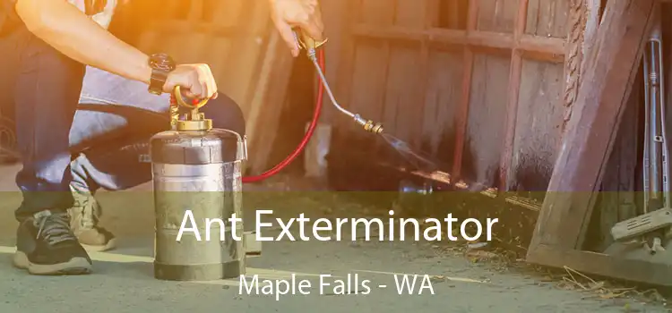 Ant Exterminator Maple Falls - WA