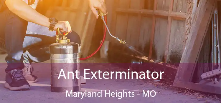  Ant Exterminator Maryland Heights - MO