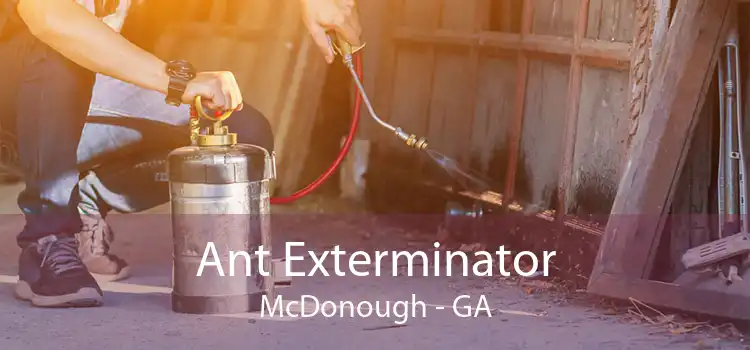 Ant Exterminator McDonough - GA