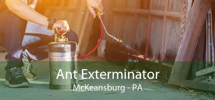 Ant Exterminator McKeansburg - PA