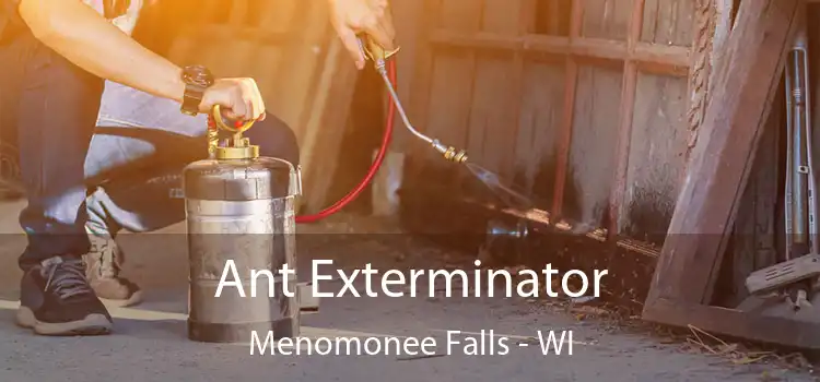  Ant Exterminator Menomonee Falls - WI