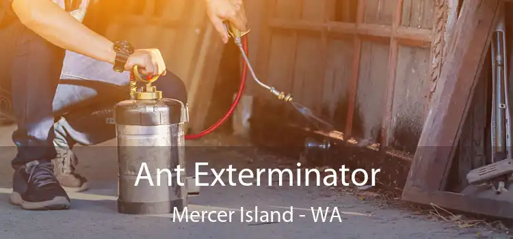  Ant Exterminator Mercer Island - WA