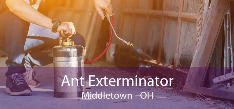 Ant Exterminator Middletown - OH