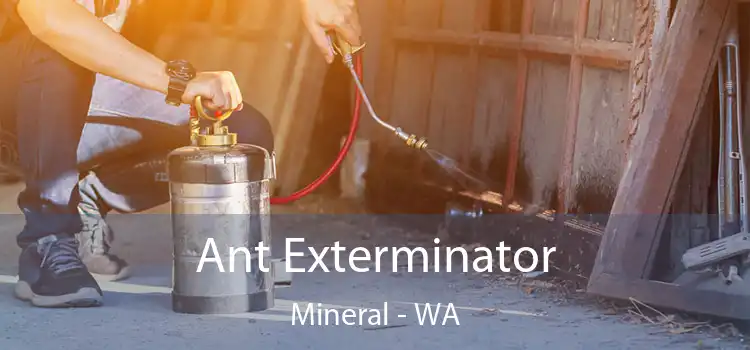  Ant Exterminator Mineral - WA