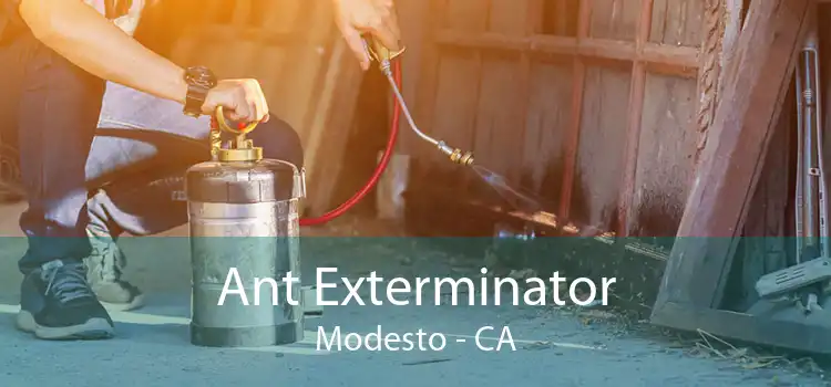 Ant Exterminator Modesto - CA