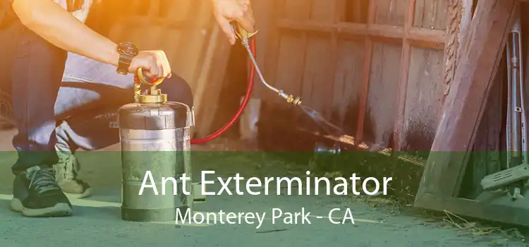 Ant Exterminator Monterey Park - CA