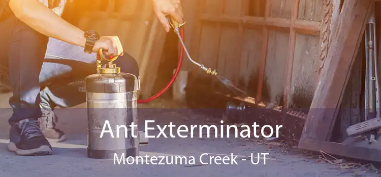  Ant Exterminator Montezuma Creek - UT