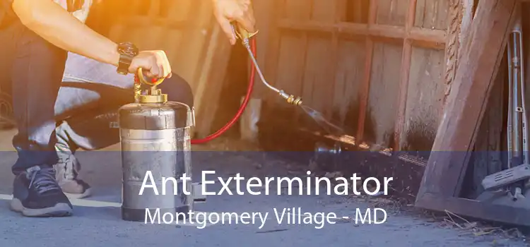 Ant Exterminator Montgomery Village - MD