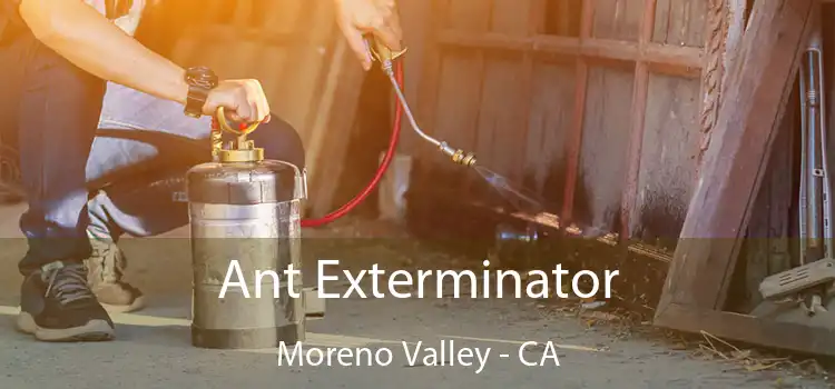  Ant Exterminator Moreno Valley - CA
