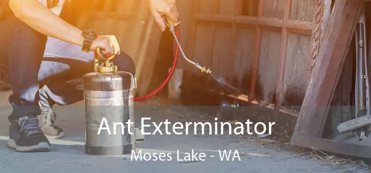  Ant Exterminator Moses Lake - WA