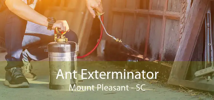 Ant Exterminator Mount Pleasant - SC