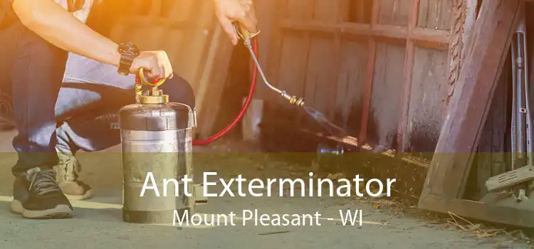 Ant Exterminator Mount Pleasant - WI