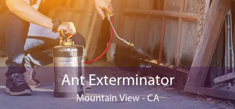  Ant Exterminator Mountain View - CA