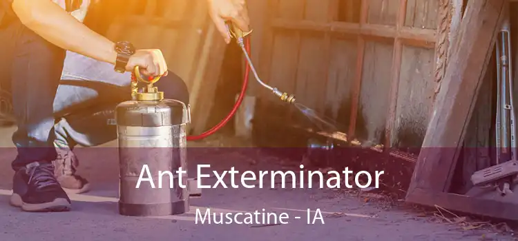  Ant Exterminator Muscatine - IA