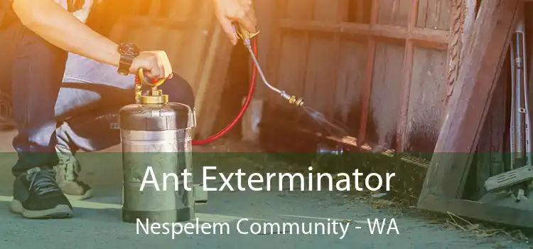  Ant Exterminator Nespelem Community - WA