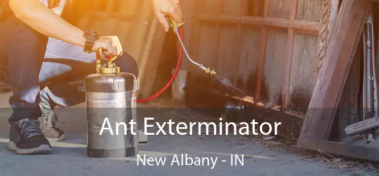  Ant Exterminator New Albany - IN