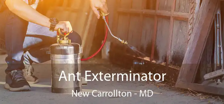 Ant Exterminator New Carrollton - MD