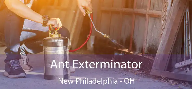  Ant Exterminator New Philadelphia - OH