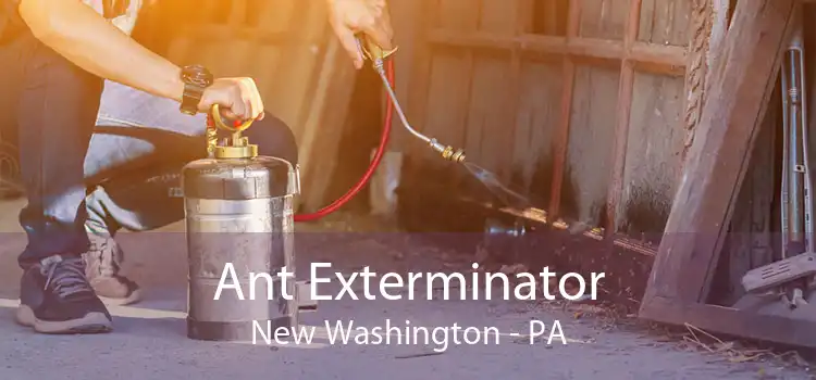 Ant Exterminator New Washington - PA