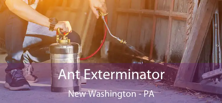  Ant Exterminator New Washington - PA