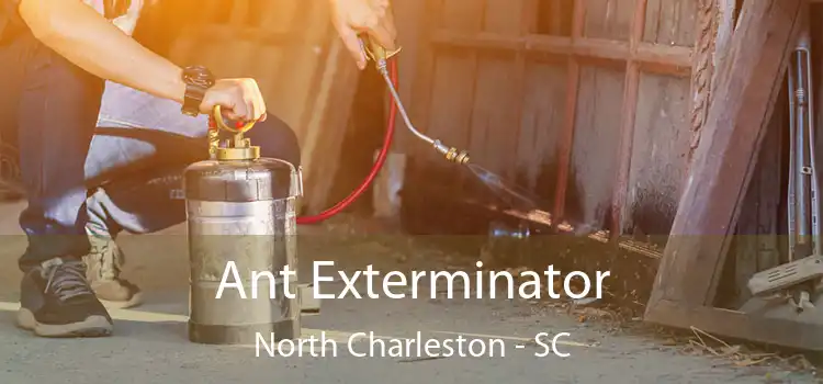 Ant Exterminator North Charleston - SC