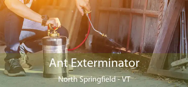  Ant Exterminator North Springfield - VT