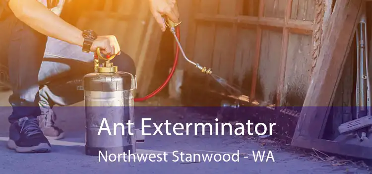 Ant Exterminator Northwest Stanwood - WA