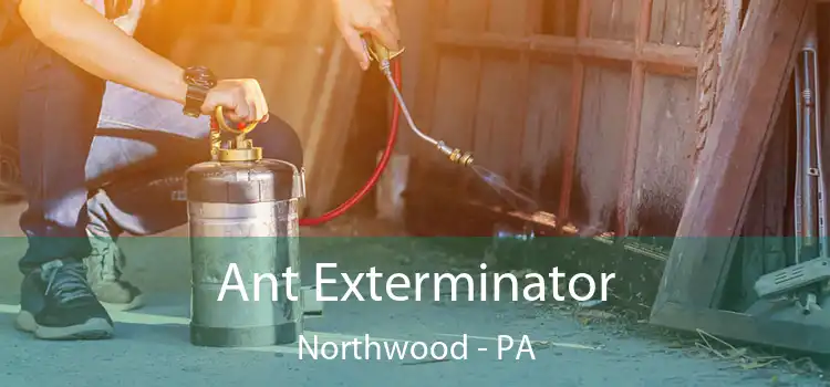  Ant Exterminator Northwood - PA