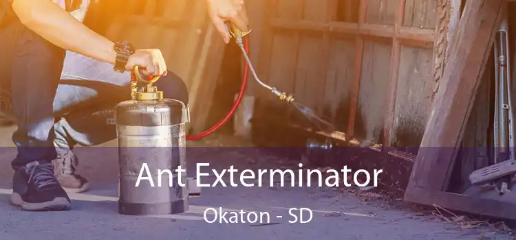  Ant Exterminator Okaton - SD