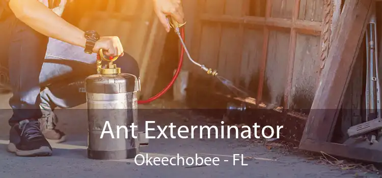  Ant Exterminator Okeechobee - FL