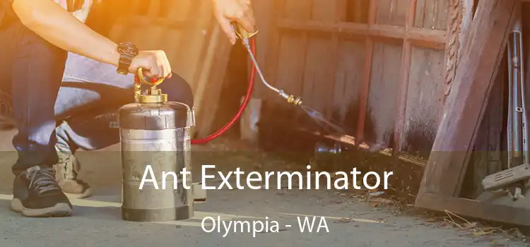  Ant Exterminator Olympia - WA