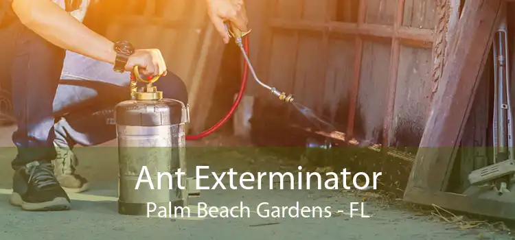 Ant Exterminator Palm Beach Gardens - FL