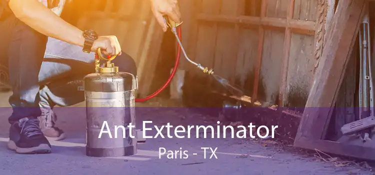 Ant Exterminator Paris - TX