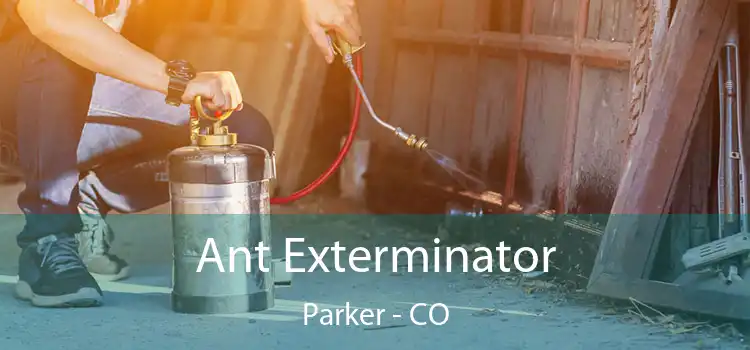 Ant Exterminator Parker - CO