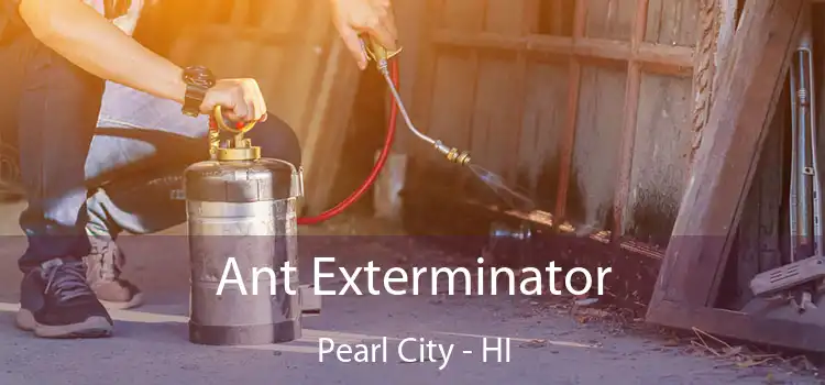  Ant Exterminator Pearl City - HI